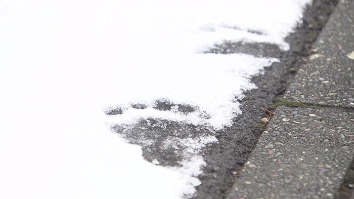 民家の敷地にも無数のクマの足跡が