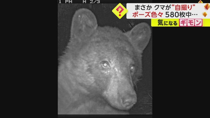 りりしい表情でキメ