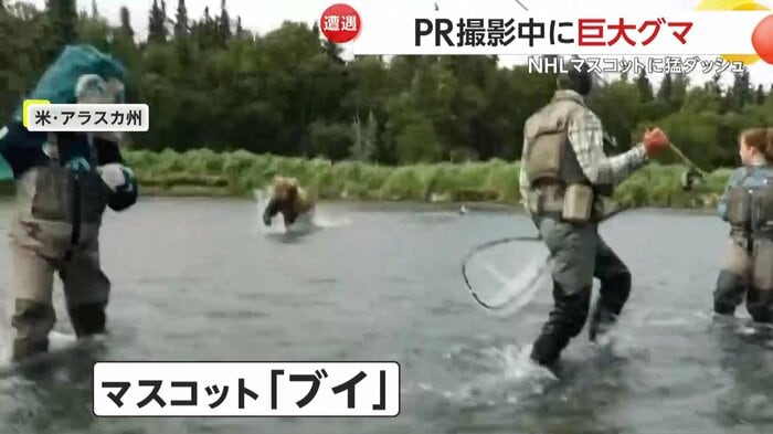 クマがマスコットキャラクターに突撃してきた瞬間(SEATTLE KRAKEN)
