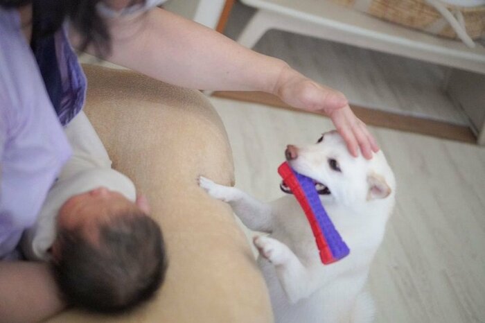 ばぁばが大好き!