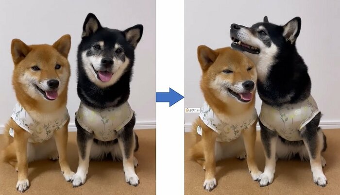 お互いの頭にすることもできる(りなちゃんの頭に、みくちゃんがあご乗せ)