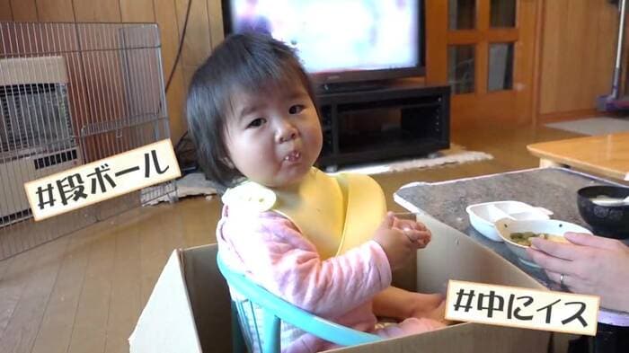 段ボールが大好きな三女のかほちゃん