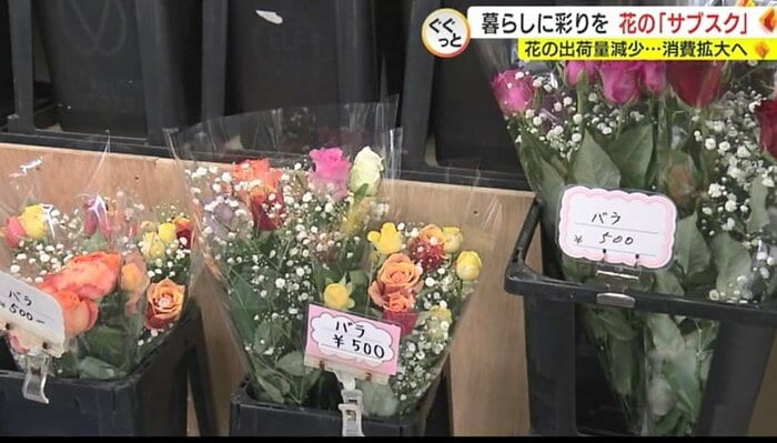 ハウスで直売