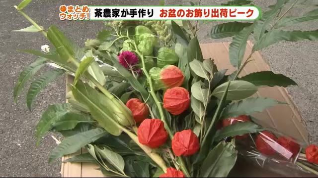 茶農家が作る・昔ながらの“盆飾り” 出荷がピークに 静岡市