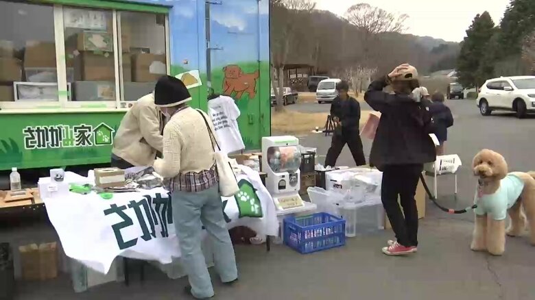 保護ネコの譲渡会　「さかがみ家」のスタッフも参加　岩手県岩泉町｜FNNプライムオンライン