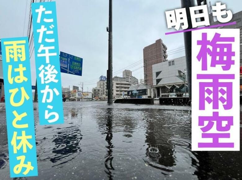【広島の天気】6/11(水)もスッキリしない梅雨空　ただ午後に入ると雨は一旦ひと休み｜FNNプライムオンライン