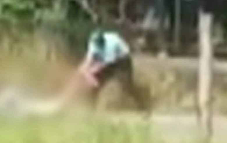 頭をなぐり、日本人男性(62)から無理やりカバン奪う…タクシー乗車中に“拳銃”突き付けられる事件も フィリピン・マニラで日本人襲撃相次ぐ|FNNプライムオンライン