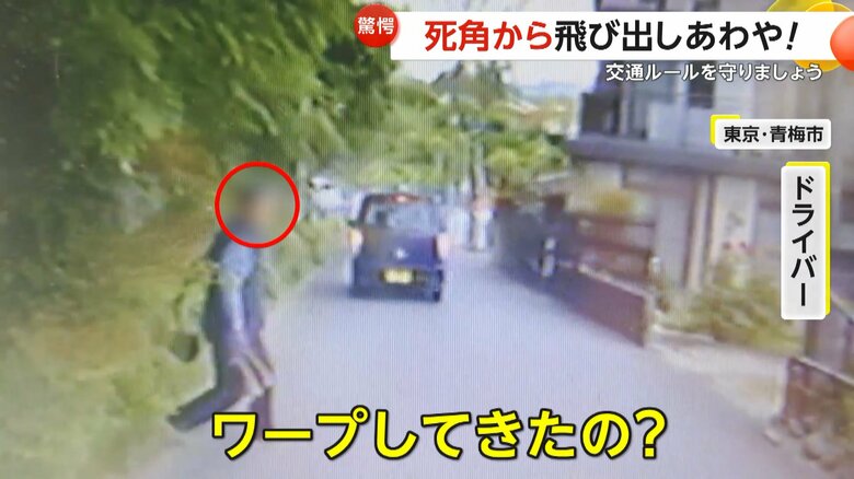 “カマ”持つ高齢者が茂みから飛び出し…「ワープしてきたの？」あわや衝突の危険な瞬間　逆走車に大型トラックが衝突寸前も｜FNNプライムオンライン