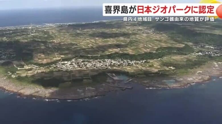 年間平均2ミリ隆起する「世界的に珍しいサンゴ礁の島」鹿児島・喜界島が日本ジオパークに　観光振興、環境保全に期待｜FNNプライムオンライン