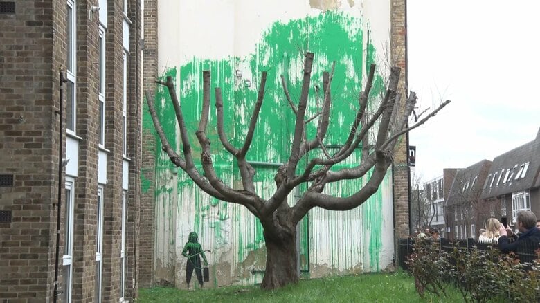 バンクシーの新作登場　枝だけの木の背後に緑の“葉”の壁画が…自然破壊への警告か｜FNNプライムオンライン
