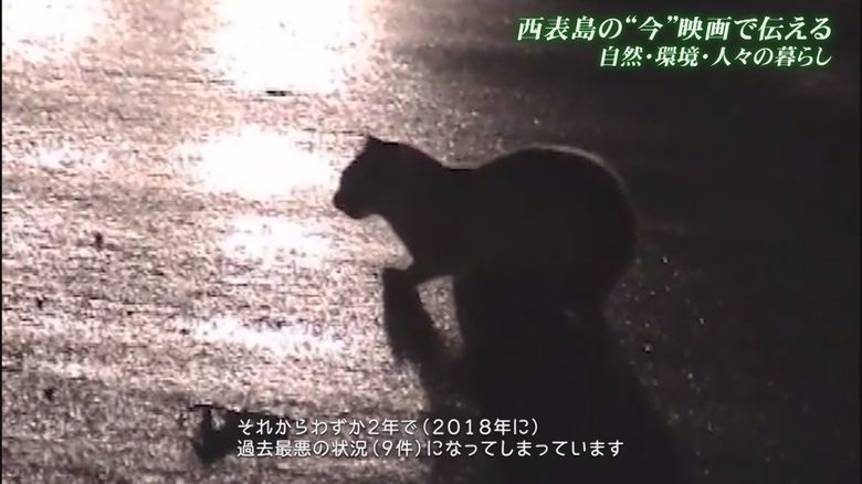 映画「生生流転」より引用