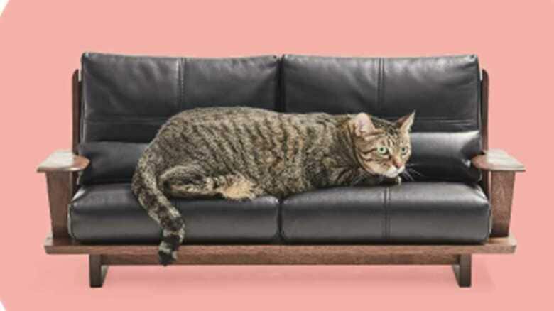 27万8000円のソファ