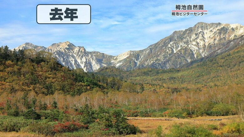 2022年の栂池自然園