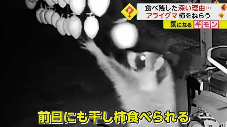 干し柿に前足を伸ばすアライグマ（視聴者撮影）