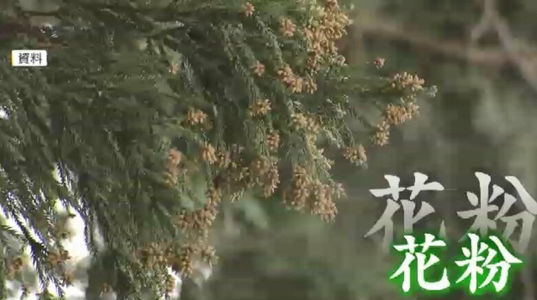 秋も花粉対策を