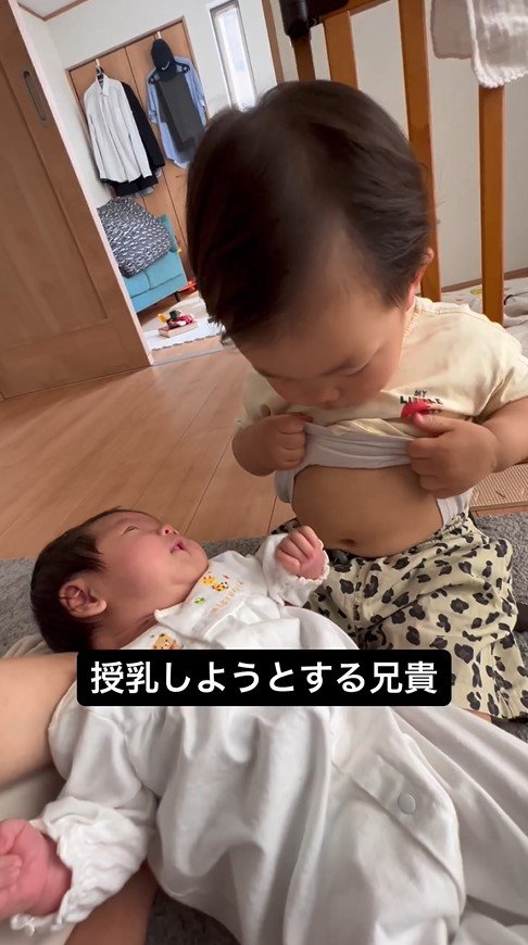 提供：＠zen_pokoさん