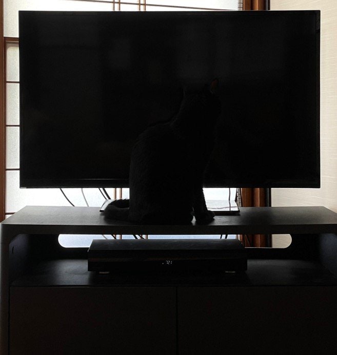 提供：マクーさん