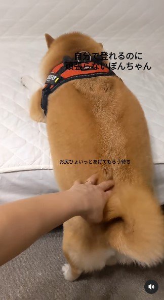 提供：natsumi.nnnさん