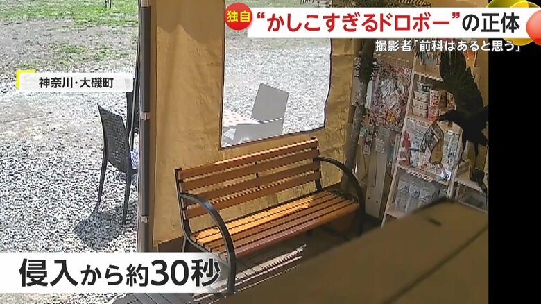 侵入から約30秒でポテチを盗んで去っていったカラス
