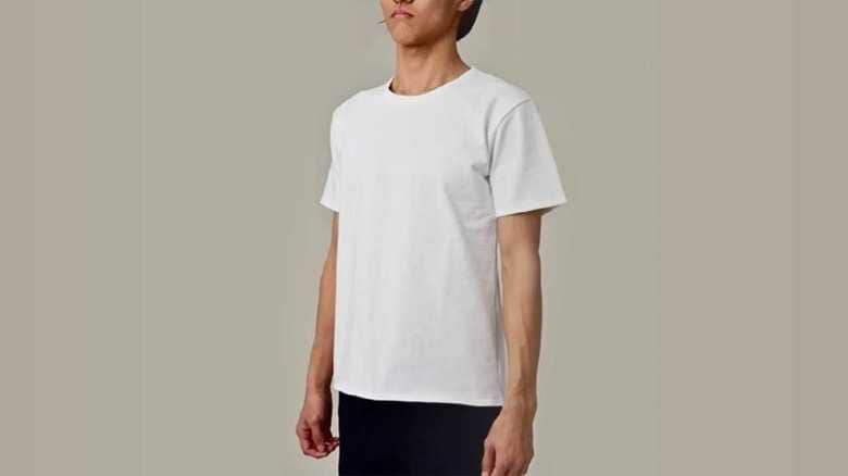 本当に透けない?「乳首が透けない白Tシャツ」を着てみたら…