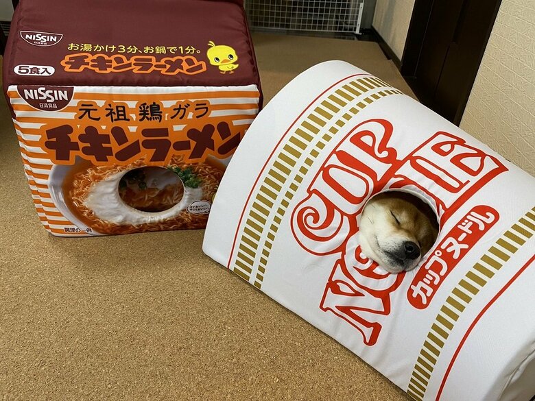 どこにいるのか分かるかな？