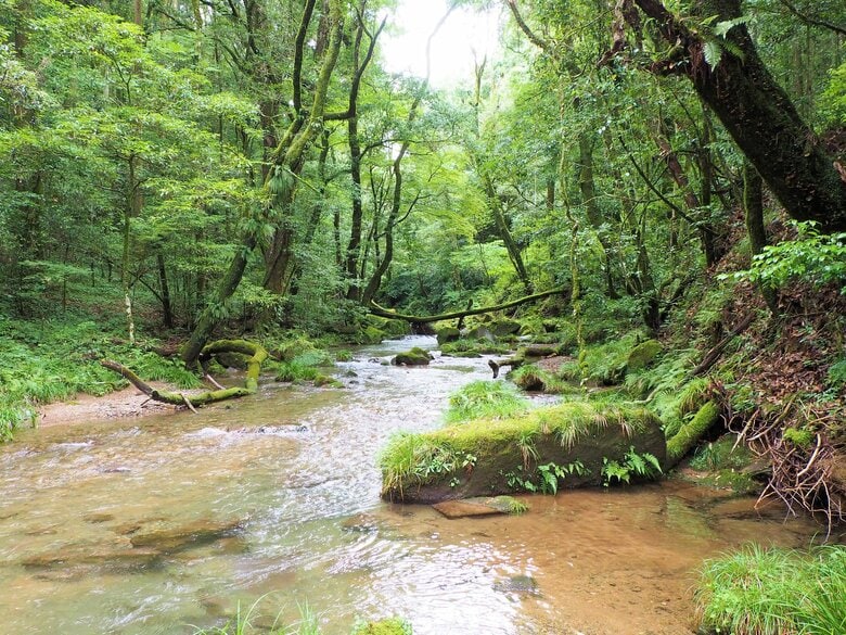 ※画像はイメージ