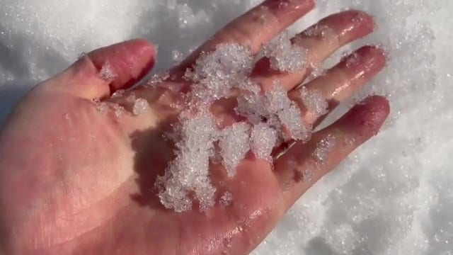 細かい氷の粒のような「ざらめ雪」