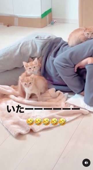 提供：oimo & yuzukiさん