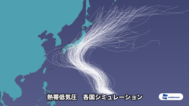 熱帯低気圧　各国シミュレーション