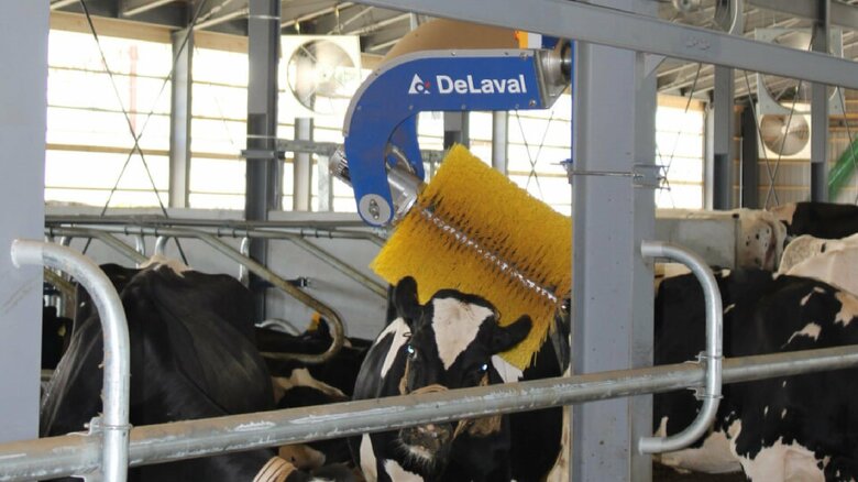 牛舎にはブラシの装置も。乳牛が近づくと自動で回転し、身体をこする（提供：Kalm角山）