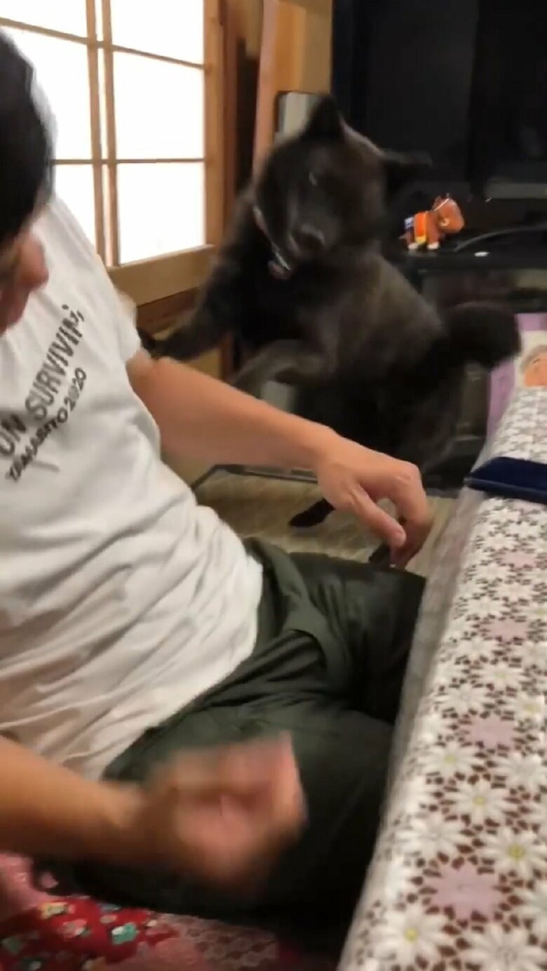 倒れていくさだきちさん