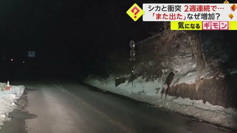 “事故”後、画面右側の山に逃げていくシカ