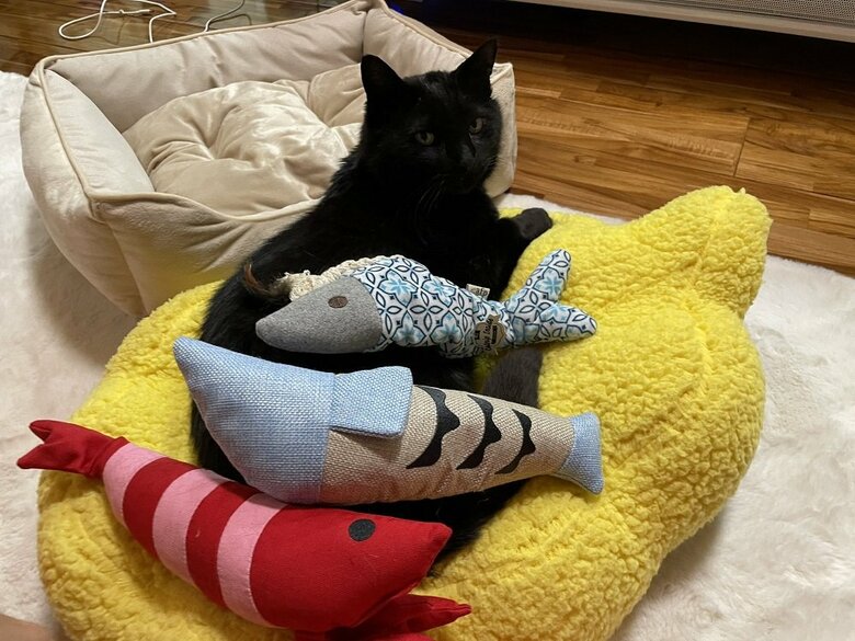 おもちゃと共に