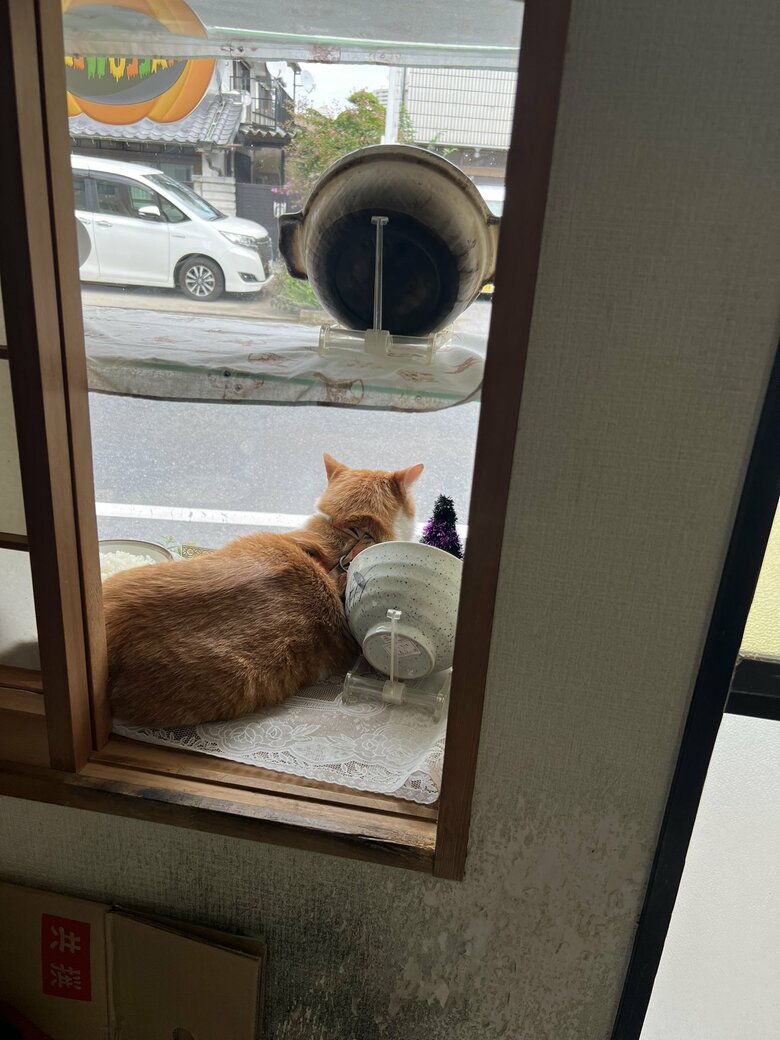 何を見ているのだろうか