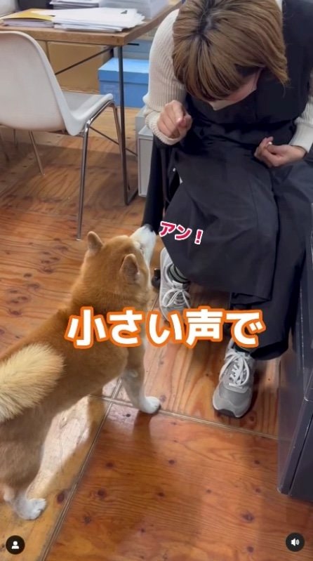 続いて…（提供：エイトデザイン）