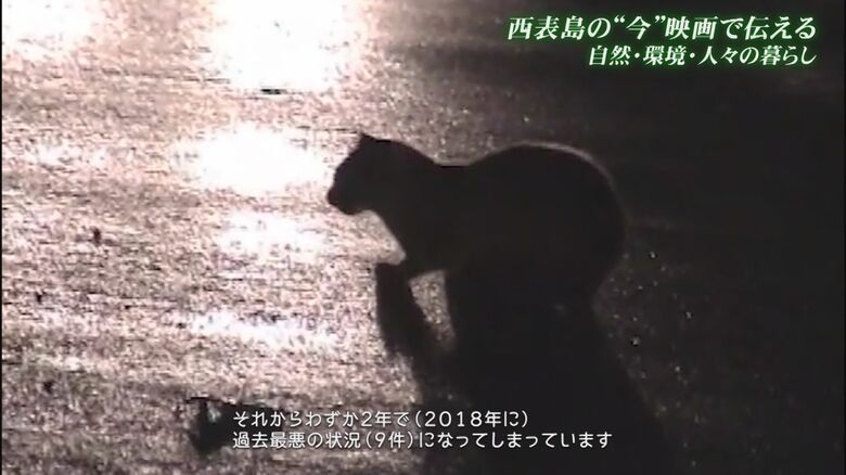 映画「生生流転」より引用