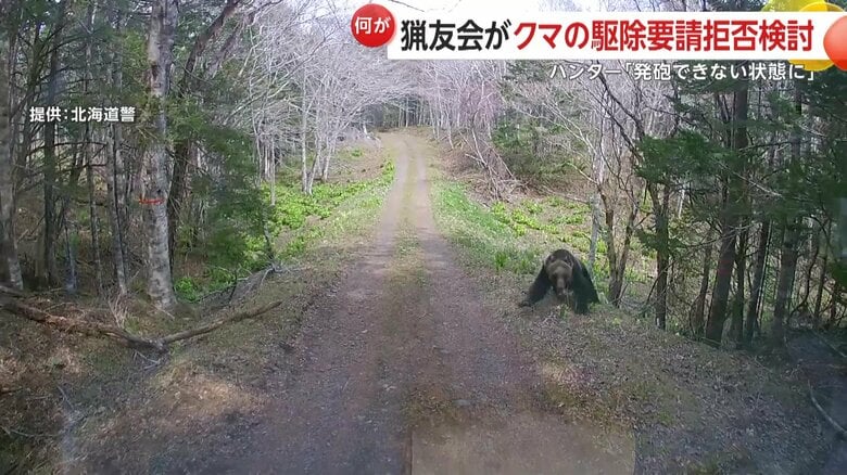 ヒグマが車に突進してフロントガラスとワイパーを破壊する様子