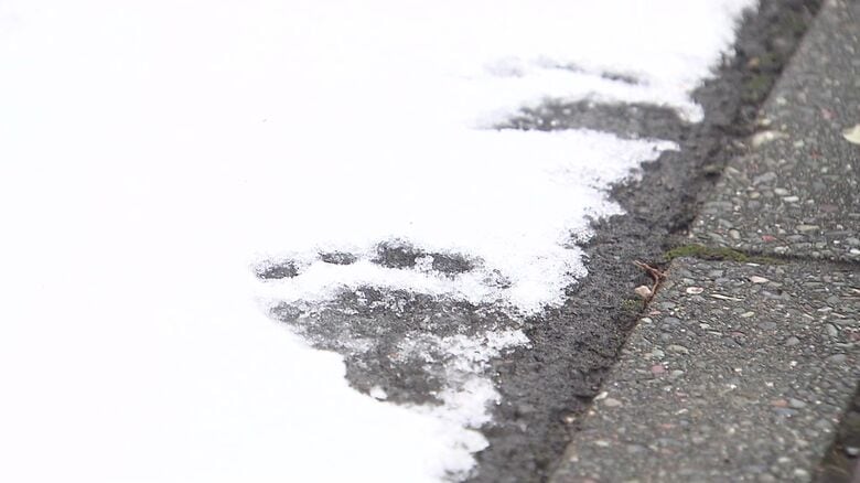 民家の敷地にも無数のクマの足跡が
