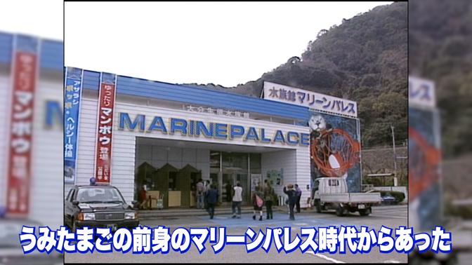 ”海水を買う自動販売機”