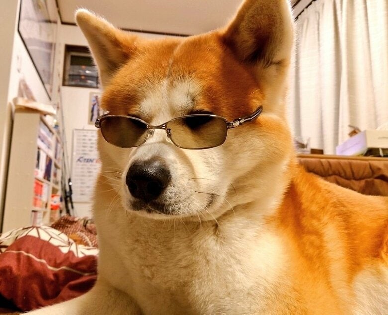 サングラスが似合う