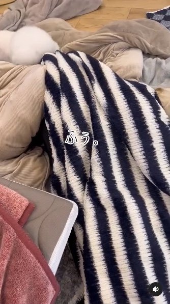 提供：エマ emmaさん