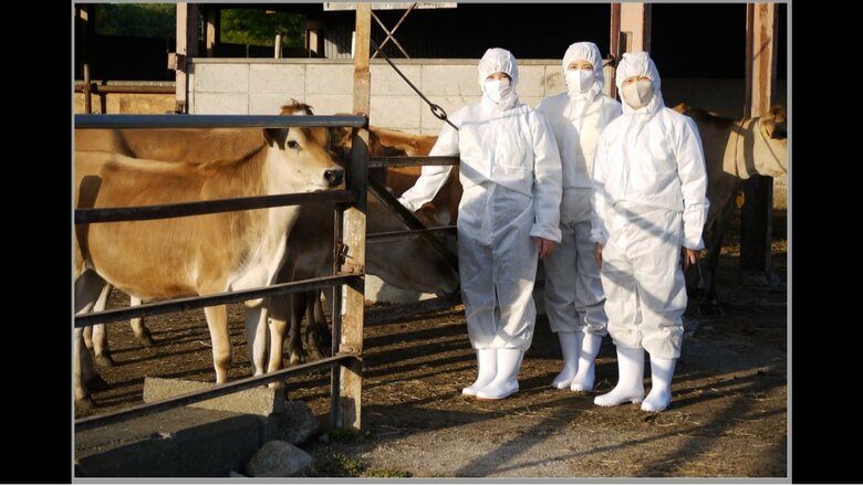 去年生まれた牛たちと　提供宮内庁