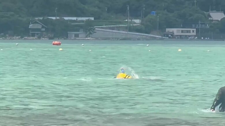 イルカが子どもを襲う一部始終⑧（全18枚）