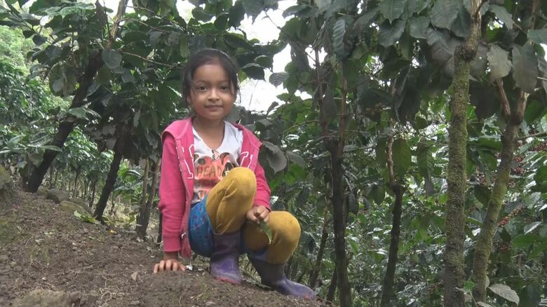 家族で農園に住み込みで収穫をする