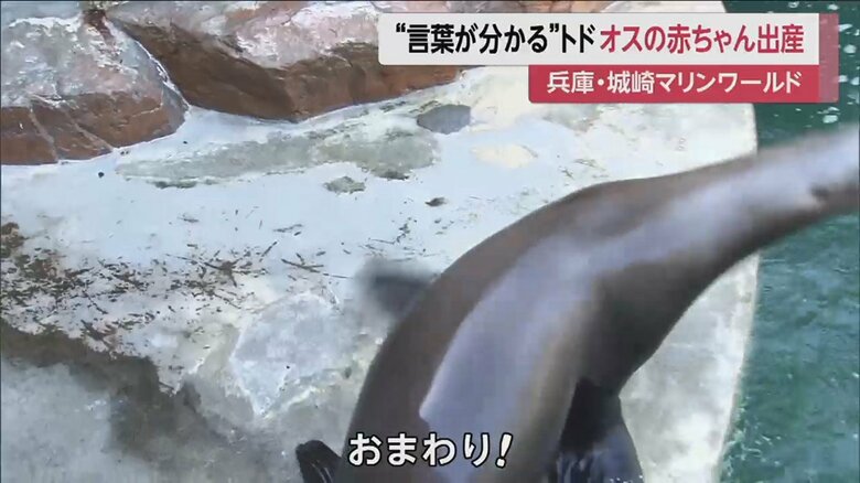 くるっと一回転