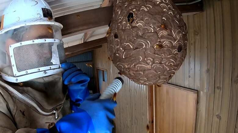 巣から飛び出しハンターに襲いかかるハチたち