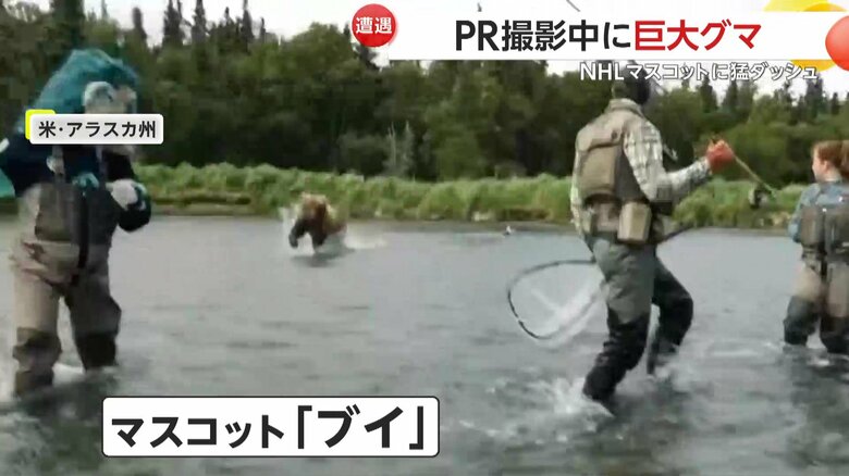 クマがマスコットキャラクターに突撃してきた瞬間（SEATTLE KRAKEN）