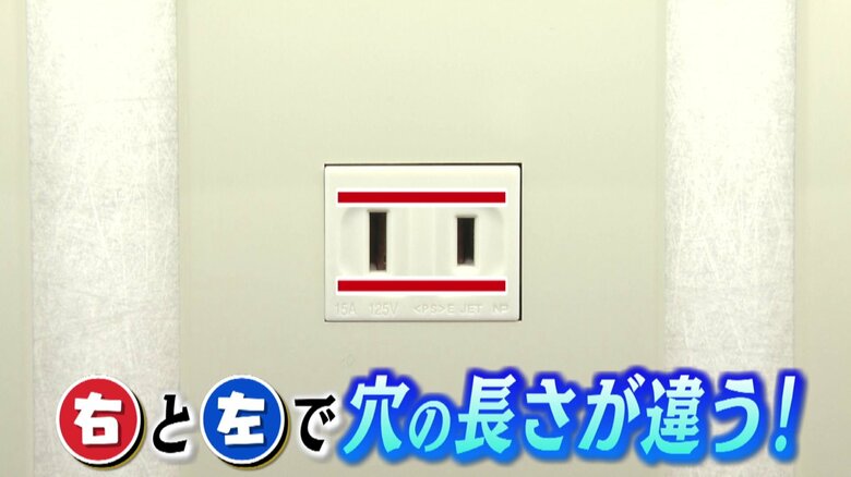 見た目で違いが分かる