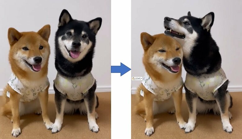 お互いの頭にすることもできる（りなちゃんの頭に、みくちゃんがあご乗せ）