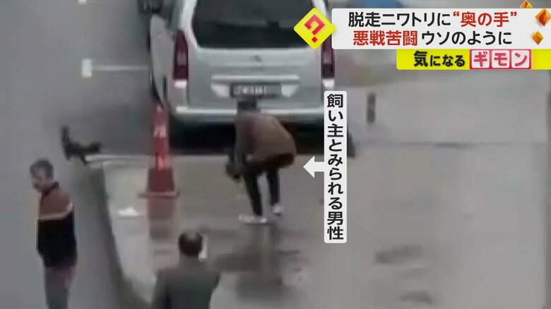 ニワトリの飼い主とみられる男性がもう一羽のニワトリを持ちしゃがむ様子